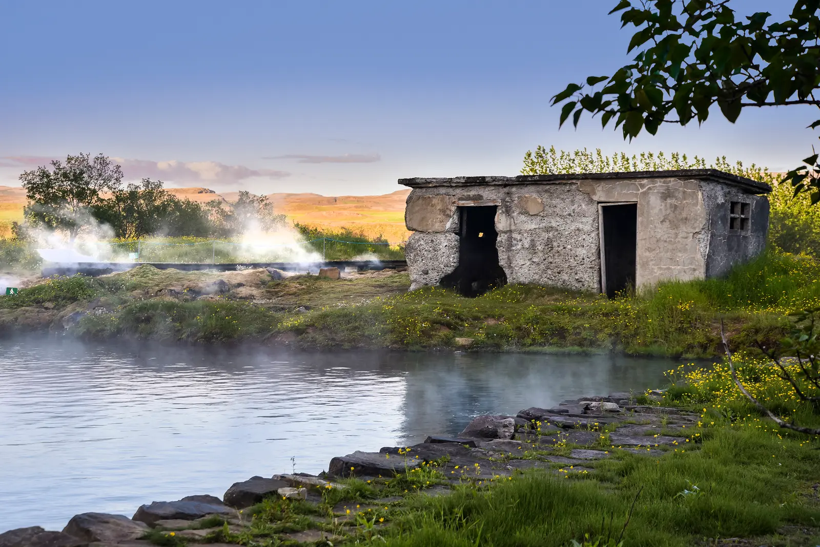 Une petite cabane de béton aux ouvertures sans porte, au bord du bassin fumant ; fleurs jaunes et herbe au premier plan, vapeur des sources au loin, collines dorées à l’horizon.